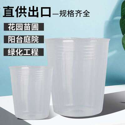蝴蝶兰营养钵透明育苗盆育苗杯塑料营养杯营养钵营养袋育苗盘