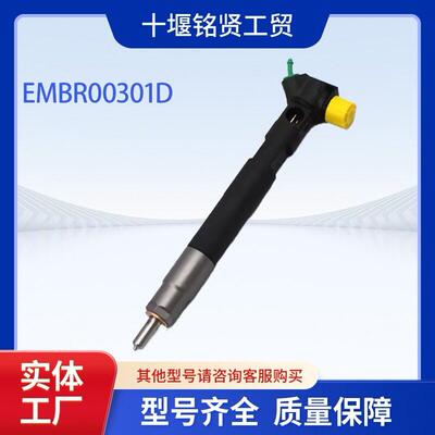 德尔福喷油器 EMBR00301D 柴油燃油喷射器