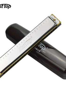 东方鼎24孔复音口琴 c调 t2401s成人 儿童初学口琴