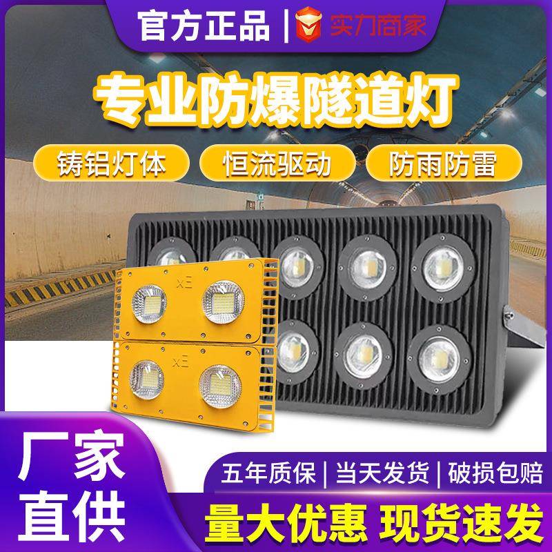 12/24V36V低压防爆灯仓库户外灯50100W加油站船用投光灯led隧道灯