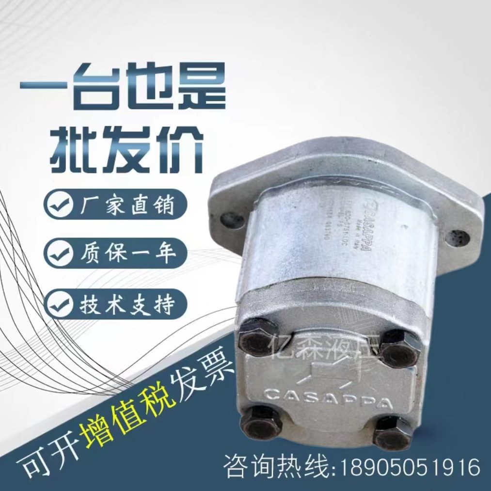 S4127/P301939CA/凯斯帕23齿轮泵2438油泵54/46APP//1.//51//.KA