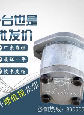 S4127/P301939CA/凯斯帕23齿轮泵2438油泵54/46APP//1.//51//.KA