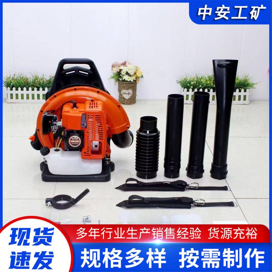 厂家现货 背负式二冲程风力灭火机 大棚蔬菜落叶清扫机 园林工程