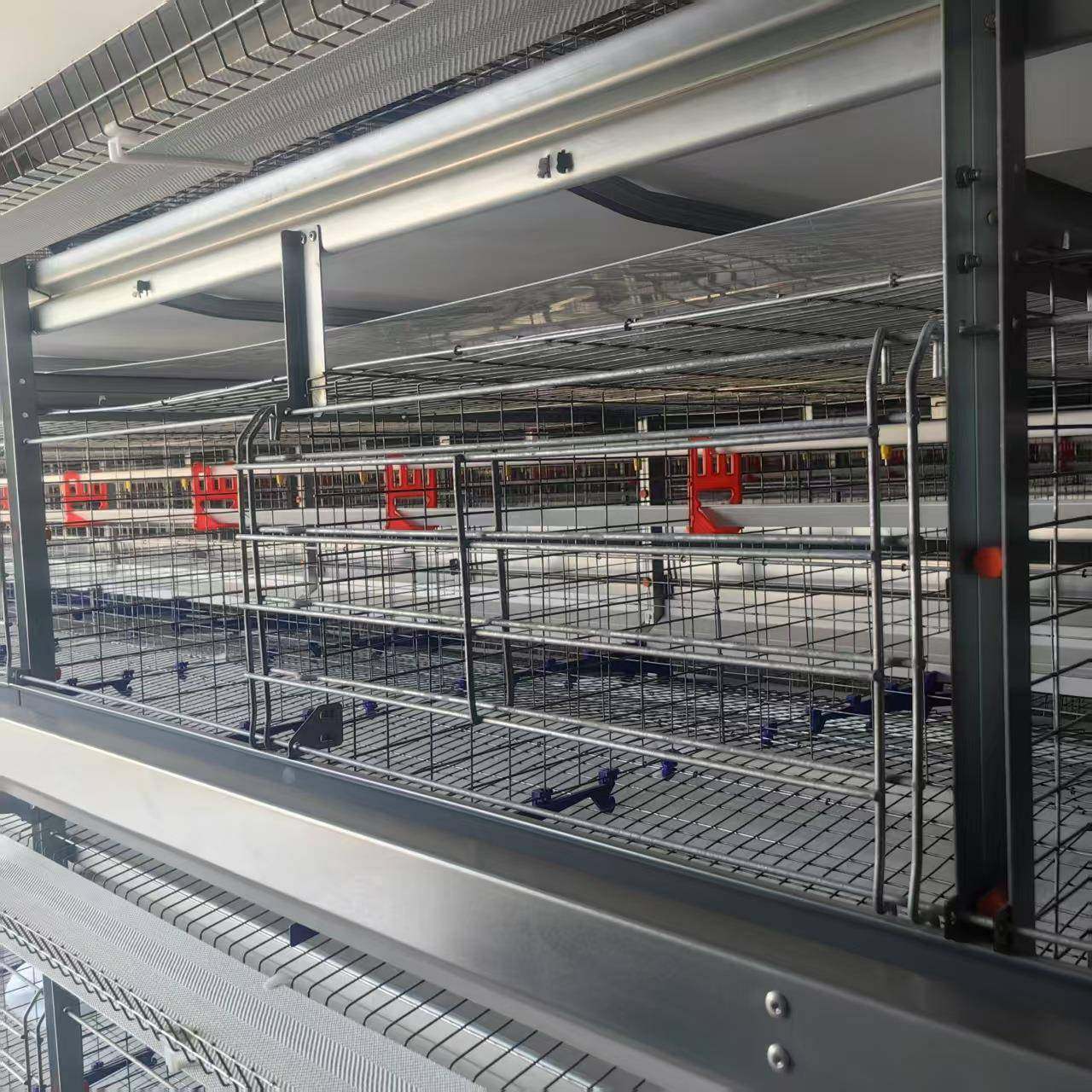 鸡笼子蛋鸡笼肉鸡笼自动捡蛋养鸡场设备可来图制镀锌笼合金丝笼