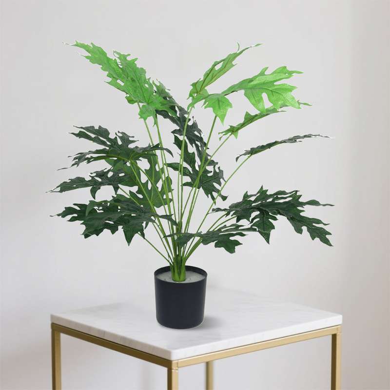仿真绿植小盆栽散尾葵蒲葵轻奢小盆景景观装饰塑料假植物绿植