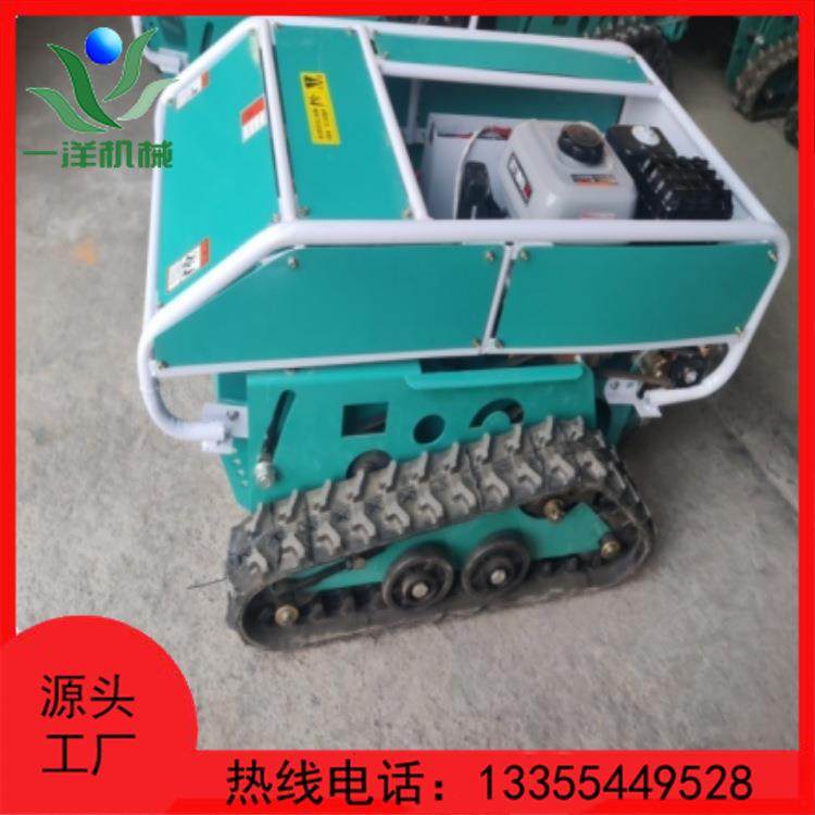 新款遥控履带式碎草机果园杂草粉碎机大棚蔬菜除草机汽油款柴油款,鲜花速递/花卉仿真/绿植园艺,割草机/草坪机,淘宝优惠券,粉丝福利购,淘宝优惠卷