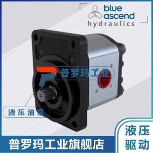 ASCEND齿轮泵AP20.160 320 220 280 115.CGL01SN 250 土耳其BLUE
