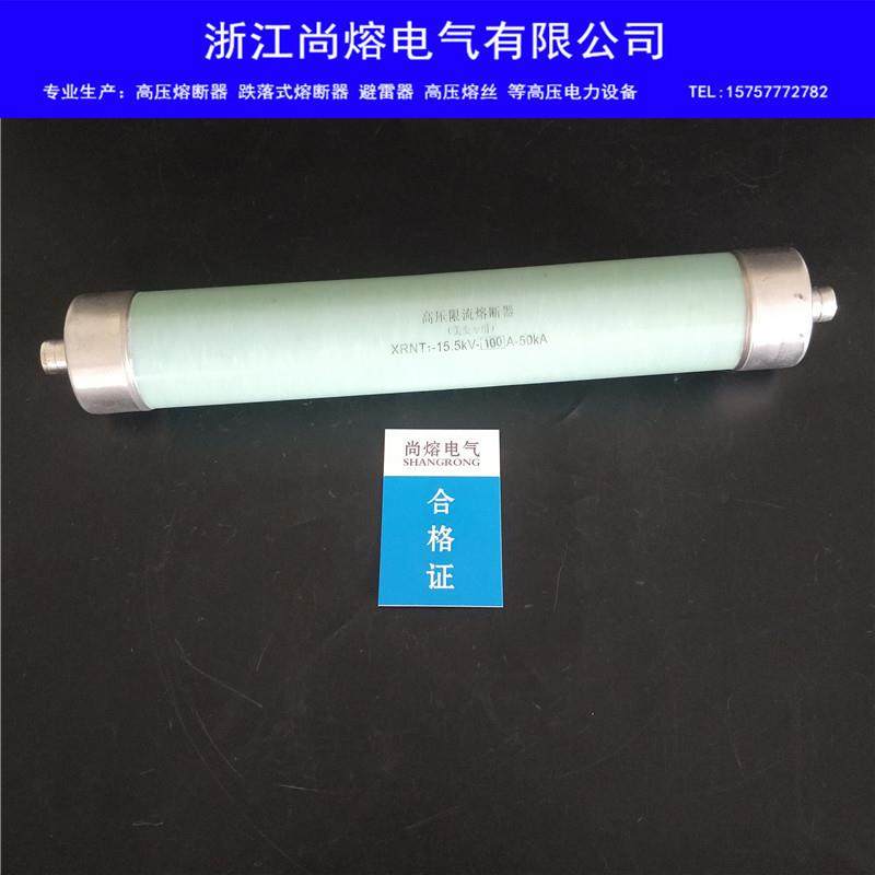 后备XRNT1-15.5KV/50A80A100A-50KA高压限流熔断器美变专用油浸式,鲜花速递/花卉仿真/绿植园艺,割草机/草坪机,淘宝优惠券,粉丝福利购,淘宝优惠卷