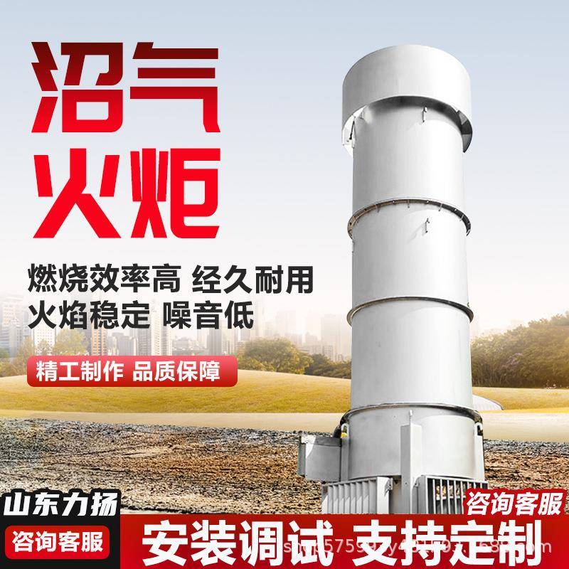 污水厌氧池沼气燃烧设备废气处理沼气火炬不锈钢封闭式火炬