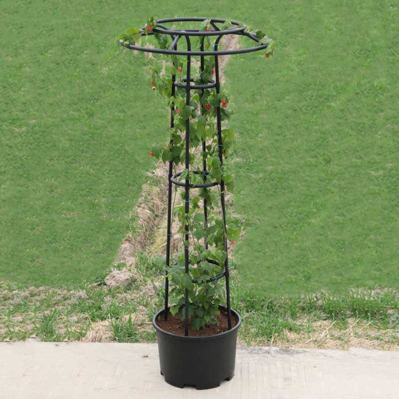 枝晓 新款园艺伞形花架爬藤架户外花卉玫瑰花架植物支撑架