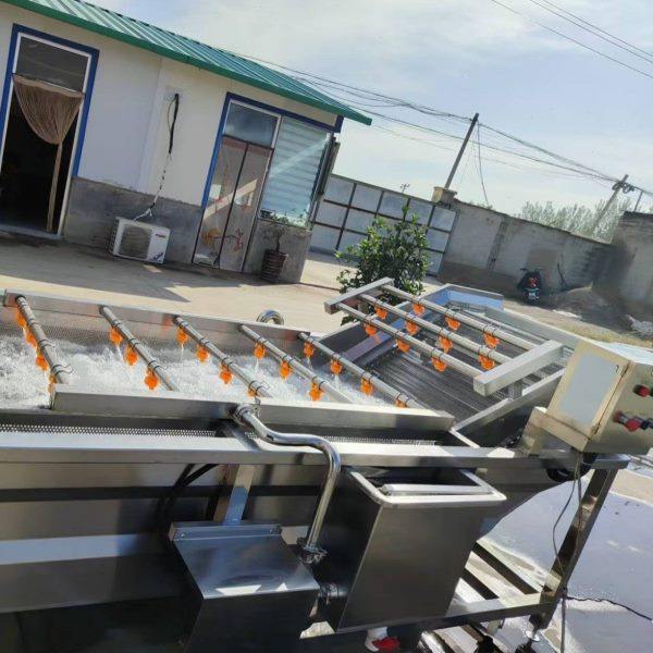 净菜加工设备山野菜清洗流水线 半成品预制菜加工预 处理设备,厨房电器,其它厨房家电,淘宝优惠券,粉丝福利购,淘宝优惠卷