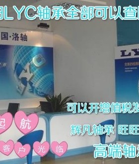 洛阳LYC轴承 原装 6320E 6321E 6322E 6324E 中国洛轴