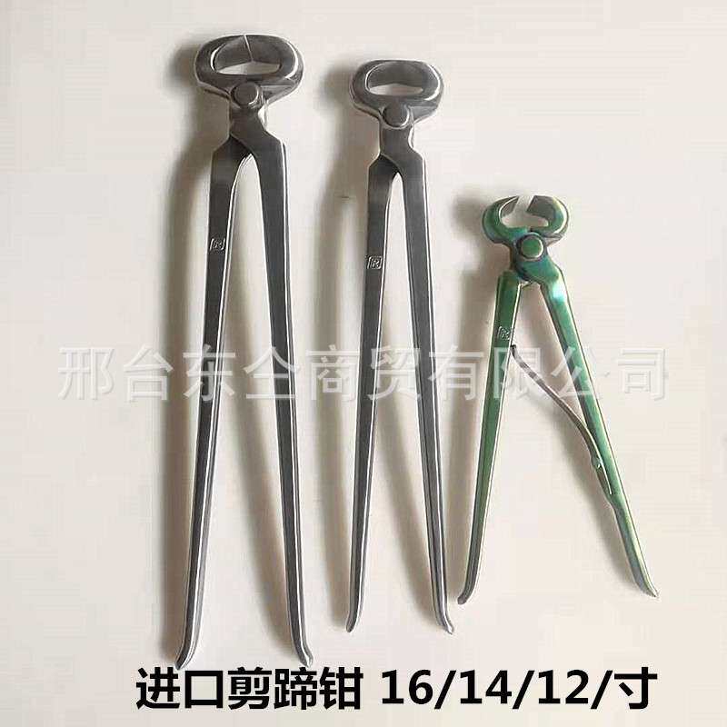 修马蹄工具 马蹄钳 牛羊钳子剪子16/14/12 马房用品马术马具