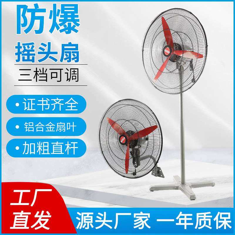 FB-500/600/750mm防爆摇头扇排风扇落地式壁挂防爆工业风扇可调速