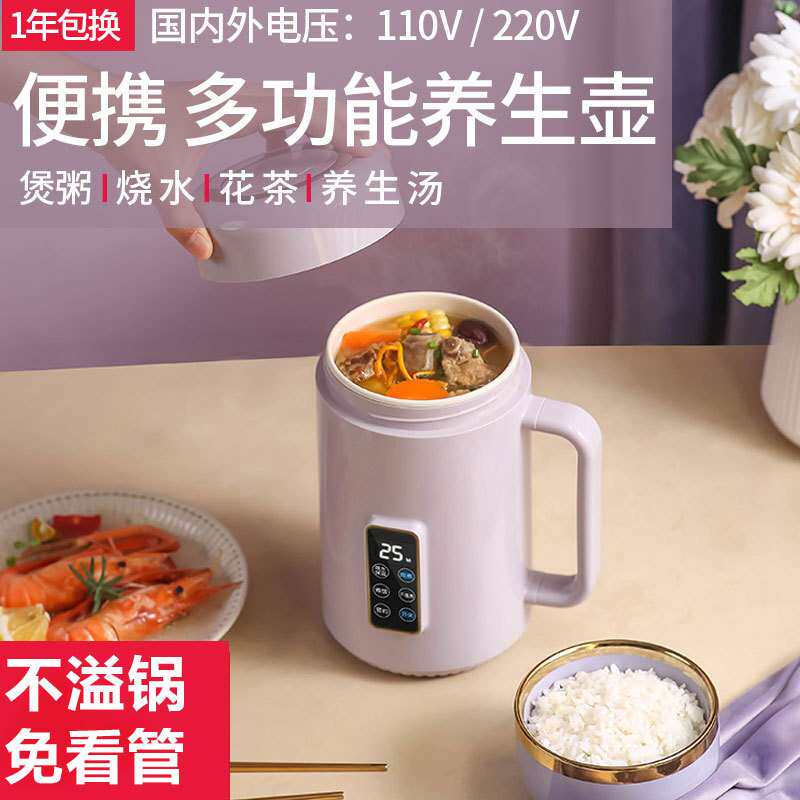 便携煲汤煮粥焖烧壶小型智能家用带炖盅一体式炖煮壶110V电炖壶