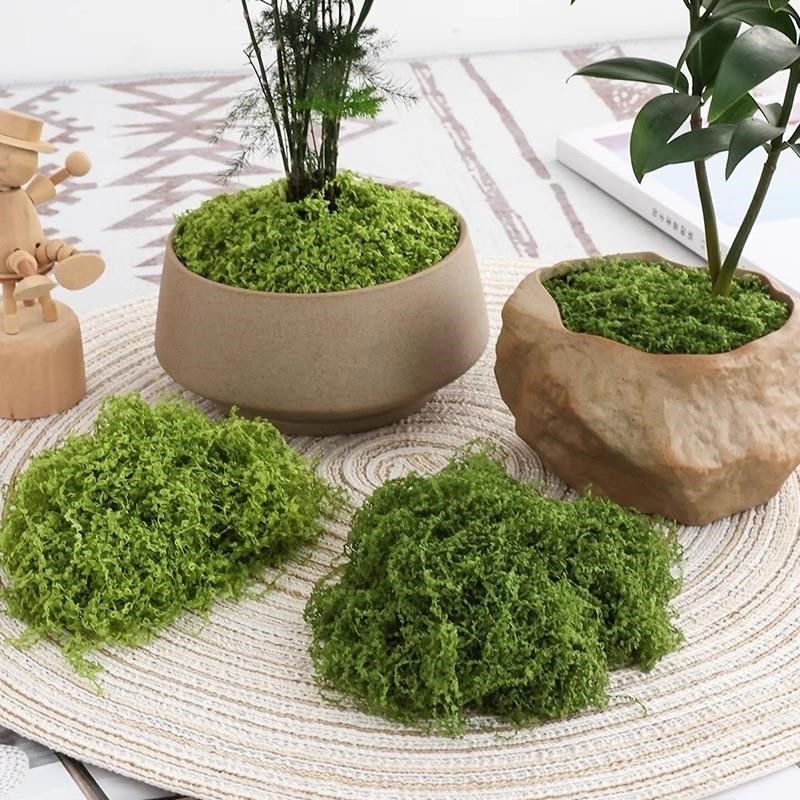 彷真苔藓造景假青苔毛线r草皮绿植微景观植物装饰人造彷生草坪石