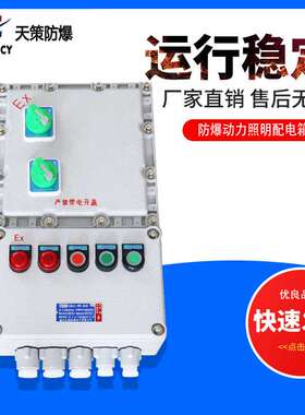 天策IIC级防爆动力照明配电箱5回路动力箱检修仪表箱不锈钢