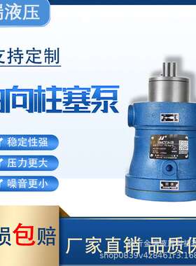 液压泵站配件 定量柱塞泵 齿轮泵其他机械设备工具5mcy轴向泵
