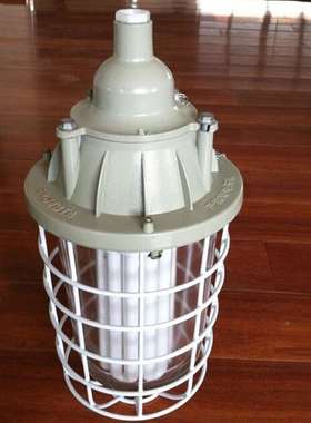 BAD56-n“n”型防爆防腐灯不锈钢 nR BAD-DIP粉尘防爆节能灯