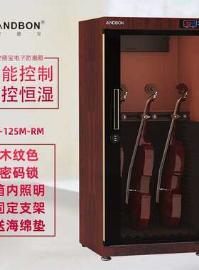 小提琴保养柜萨克斯小号B2H智能湿度调节乐器防潮箱