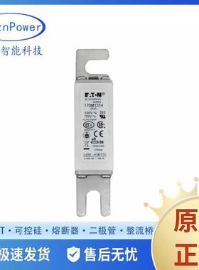 170M3020t170M3070t170M3170t170M3220 快速熔断器保险丝工业限流