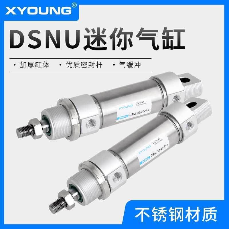 XYOUNG气动DSNU带磁迷你气缸DSNU20-50不锈钢迷你气缸DSNU20-75