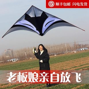 银狐风筝544伞布微风易飞追风者初学者大型高档新款 风筝