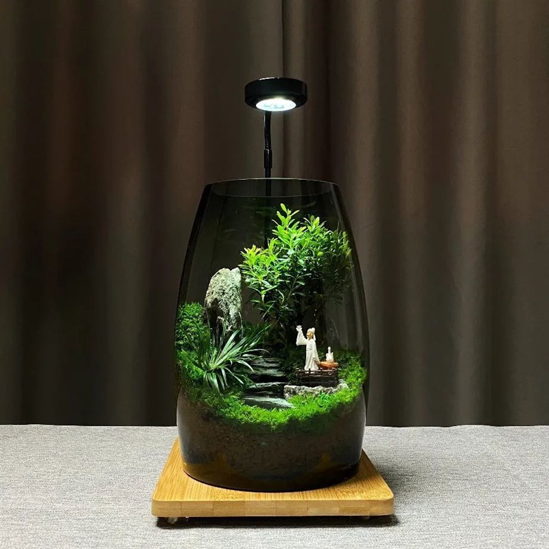 【云海间】苔藓微景观办公室桌A面微景观绿植盆景高端生态缸摆件