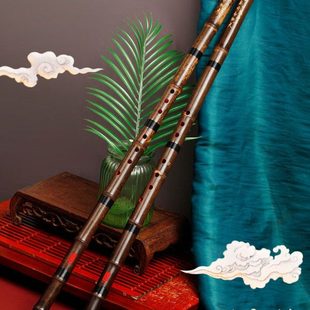 伶吟民族乐器洞箫包专业演奏一节长紫竹萧六八孔正反手F初学G调潇