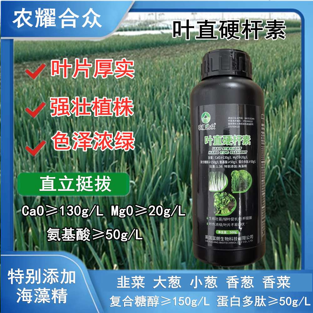 叶直硬杆素大葱专用肥韭菜粗又嫩直立挺拔素硬朗抗倒伏防干尖黄叶