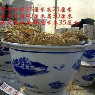 厘米40陶瓷单个包邮口径种树50超大K以上30特大号花盆高-