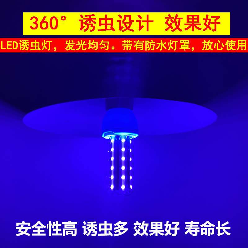 低压3.7V紫光灯泡365纳米395黑光灯诱虫鱼塘喂鱼灯泡太阳能专用灯