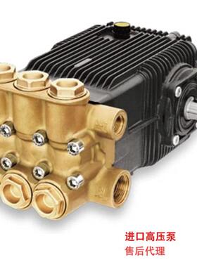 进口AR高压柱塞泵XWP50.15N/XWP50.15N/55.14/60.13/65.12/70.15N