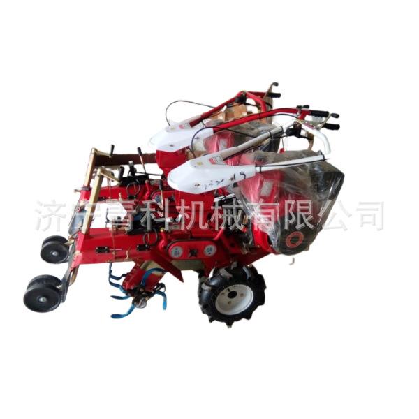 大葱培养种植机械 农田农作物培土机械 柴油式农用旋耕设备
