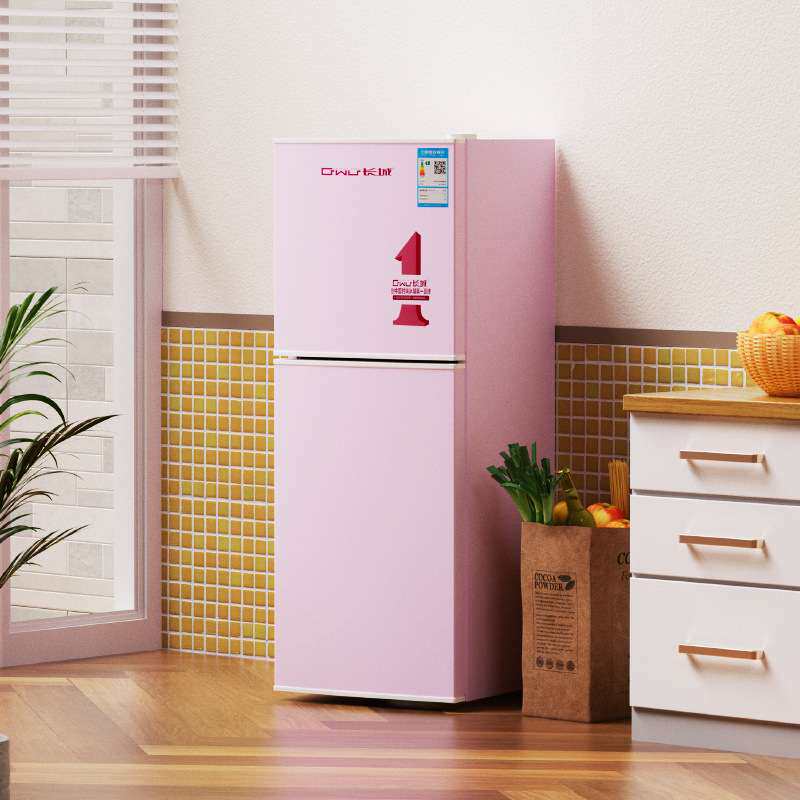 长城复古小冰箱家用小型静音节能双门迷你宿舍二人出租房电冰箱