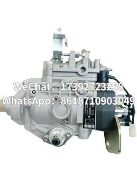 高品质油泵总成 22100-1C220 VE6/10F1900RND267 196000-2670