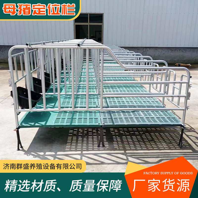 母猪定位栏限位栏猪圈栏位养猪用复合漏粪板母猪产床保育半限位栏