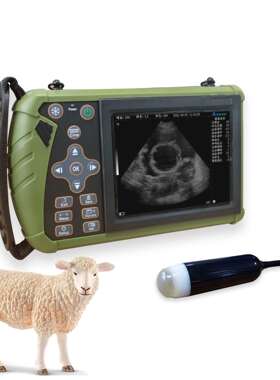 B-mode Ultrasound Scann Animal Ultrasound Waterproof Probe