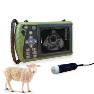 B-mode Ultrasound Scann Animal Ultrasound Waterproof Probe