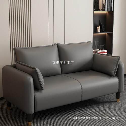 客厅沙发2025新款服装店出租房休息区卧室小户型轻奢简约双人沙发