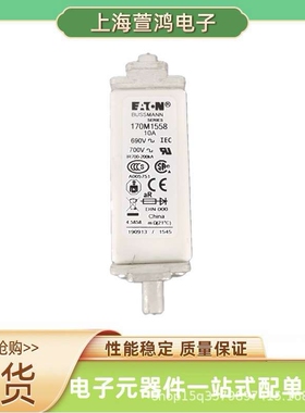 170M6340 170M6341 170M6342 170M6343原装 高压熔断器直流熔芯