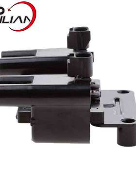 适用大宇雪佛兰汽车点火线圈96453420 96456420 XIC8389 T0296A