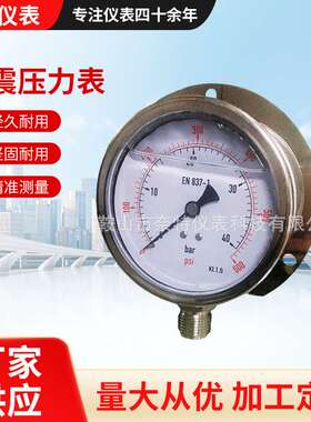 耐震压力表 铜电镀接头100mm有后法兰 4分牙直螺纹厂家