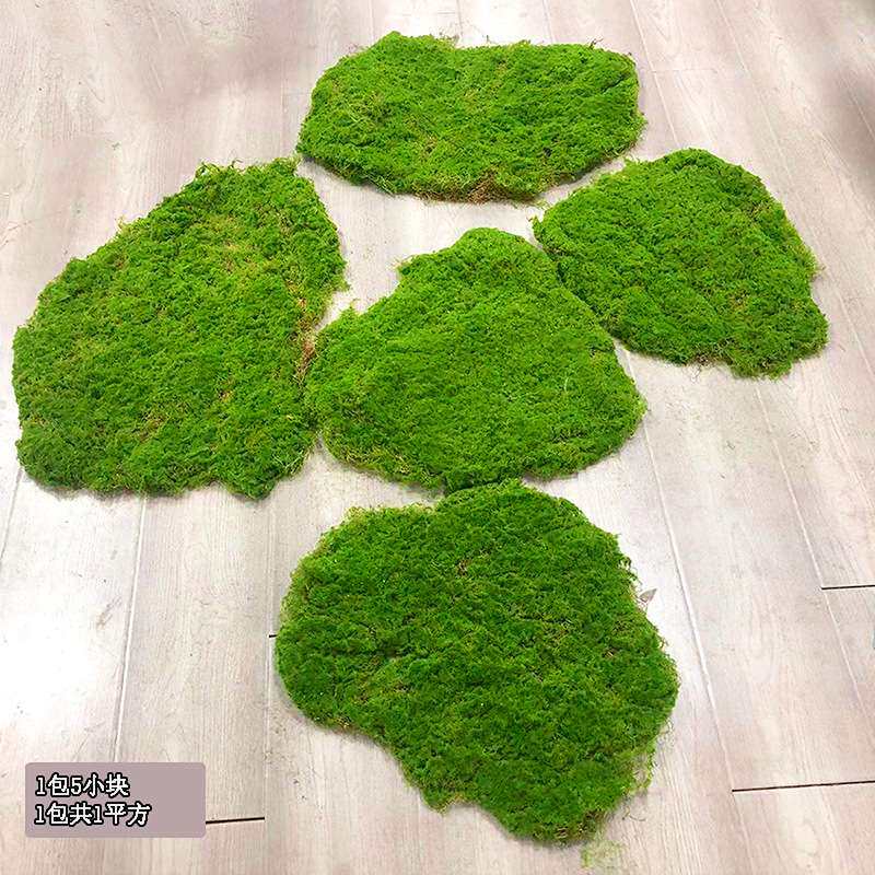 苔藓块假草坪青苔造景垫子沙盘圆桌人造草皮塑料人工草地装饰