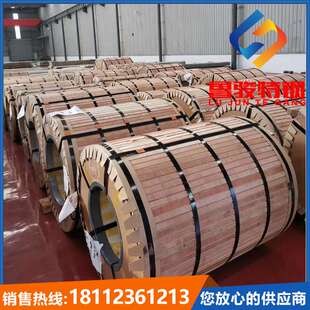 供应1.4529超级不锈钢卷板开平1.4529薄板分条圆钢锻件法兰过滤器