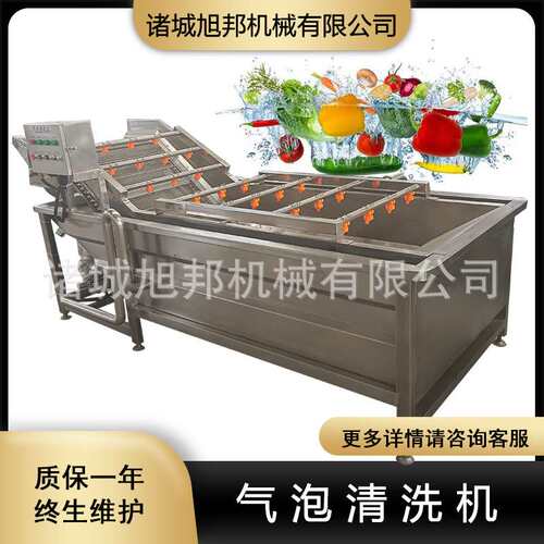 带龙门提升气泡清洗机 薄荷叶涡流清洗设备 全自动净菜加工设备
