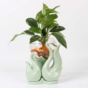 创意水培花盆花瓶玻璃水养植物绿萝容器透明家用客厅摆件插花器皿