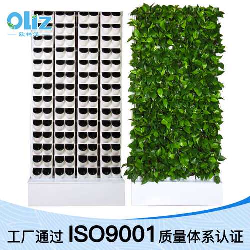 欧林泽厂家 2米植物墙自动灌溉BG塑料懒人花盆绿植绿墙花盆