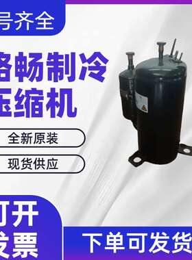 微型压缩机BSA325HJ-Y1DND 110V 60Hz电控柜除湿机R134A制冷剂