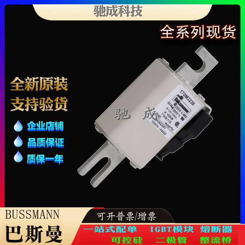巴斯曼170M3238 170M3239 170M3240 原装进口零售  紧凑熔断器
